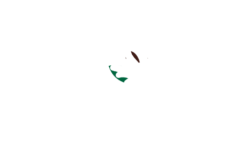 خدمات الأغذية - كوفي شوب 12